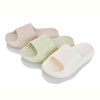 Шлепки Lion-Lu 777-40 mix