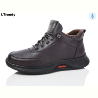 Ботинки Trendy BK1221-9