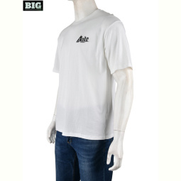 Футболка BIG 4072-M01-2 white