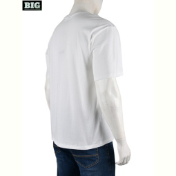 Футболка BIG 4072-M01-2 white
