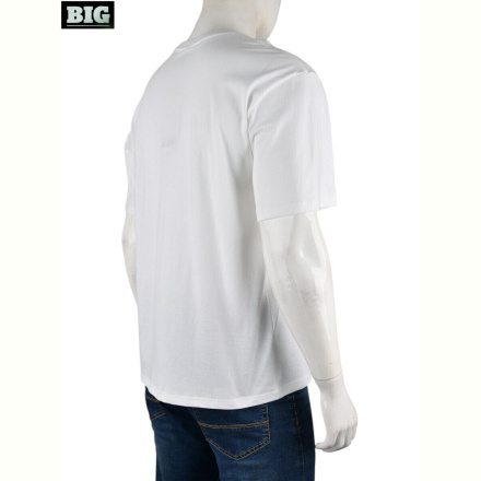 Футболка BIG 4072-M01-2 white