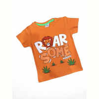 Футболка Kids-modnik 5092 помаранчевий