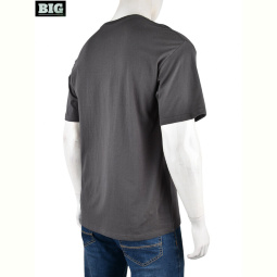 Футболка BIG 4072-M01-3 grey