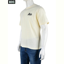 Футболка BIG 4072-M01-4 yellow
