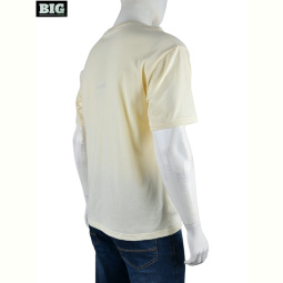 Футболка BIG 4072-M01-4 yellow