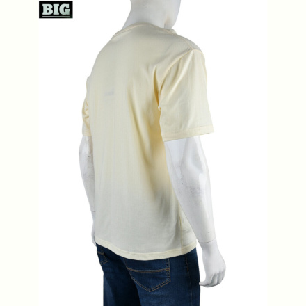 Футболка BIG 4072-M01-4 yellow