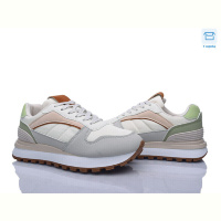 Кроссовки Захар-Gold J1051-2