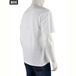 Футболка BIG 4072-M02-2 white