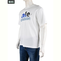 Футболка BIG 4072-M02-2 white