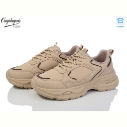 Кроссовки Dageni 9905-5