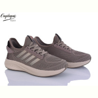 Кроссовки Dageni B2526-17