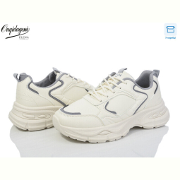 Кроссовки Dageni 9905-6