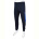 Спортивные брюки Red Hat 1569 navy