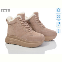 Ботинки ITTS CE082-26