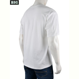 Футболка BIG 4072-M03-2 white