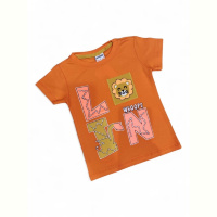 Футболка Kids-modnik 5103 помаранчевий