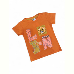 Футболка Kids-modnik 5103 помаранчевий