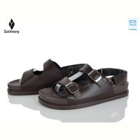 Босоножки Gollmony ST-JZ15 brown