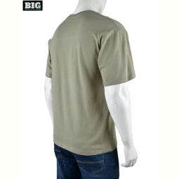 Футболка BIG 4072-M03-3 grey