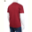Футболка BIG 3707-110-4 bordo