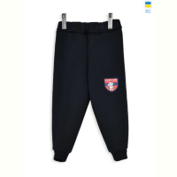 Спортивные брюки Kir15 16826 navy