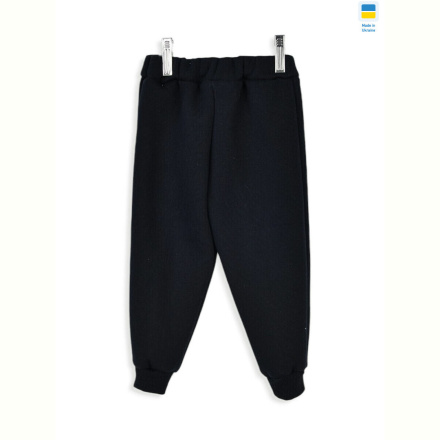 Спортивные брюки Kir15 16826 navy