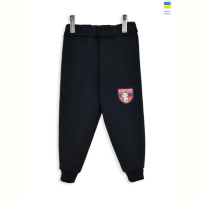 Спортивные брюки Kir15 16826 navy