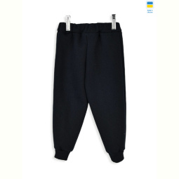 Спортивные брюки Kir15 16826 navy