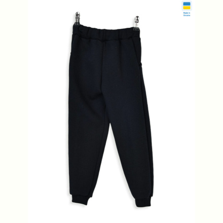 Спортивные брюки Kir15 16832 navy