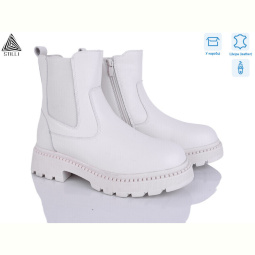 Ботинки STILLI Group E100-2 шкіра