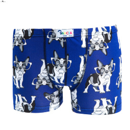 Трусы NOVA VIDNOVA GKID11 dog blue (131-140)