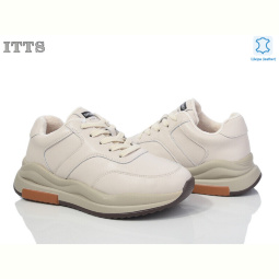 Кроссовки ITTS MS7702-3