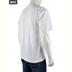 Футболка BIG 4072-M07-2 white