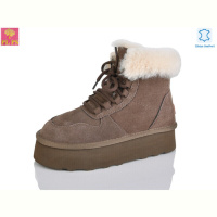 Ботинки PLPS 5856 brown