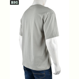 Футболка BIG 4072-M07-4 grey