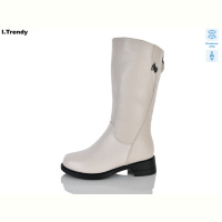 Сапоги Trendy DH3901-9