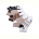 Носки HOROSO HOME WZ501-2 mix