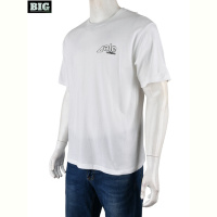 Футболка BIG 4072-M06-2 white