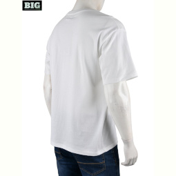 Футболка BIG 4072-M06-2 white