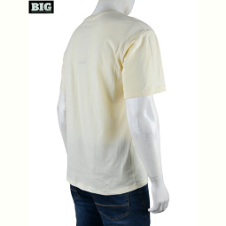 Футболка BIG 4072-M06-3 yellow