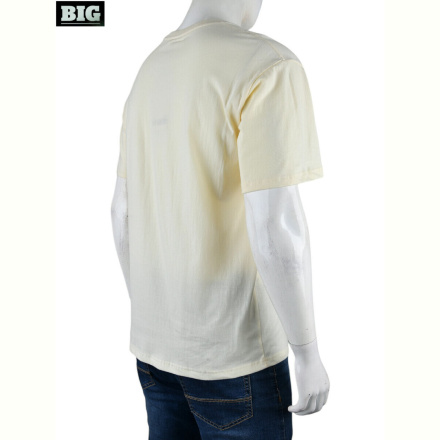 Футболка BIG 4072-M06-3 yellow