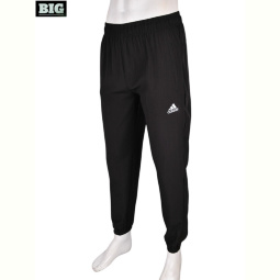 Спортивные брюки BIG 4033-A01-1 black