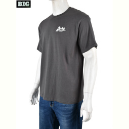 Футболка BIG 4072-M06-4 grey