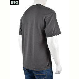 Футболка BIG 4072-M06-4 grey