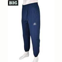 Спортивные брюки BIG 4033-A01-2 navy