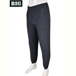 Спортивные брюки BIG 4033-A01-3 grey
