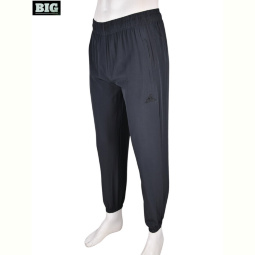Спортивные брюки BIG 4033-A01-3 grey