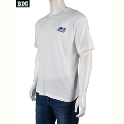 Футболка BIG 4072-M04-2 white