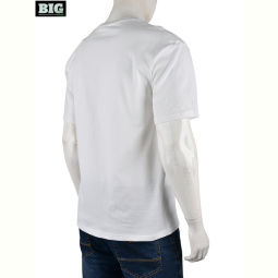Футболка BIG 4072-M04-2 white