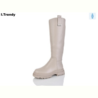 Сапоги Trendy BT1319-2